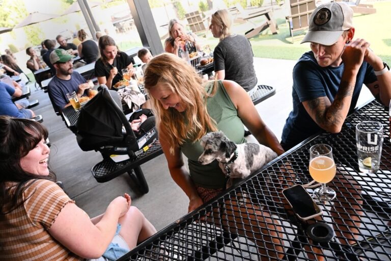 The Best Dog-Friendly Breweries in Your City