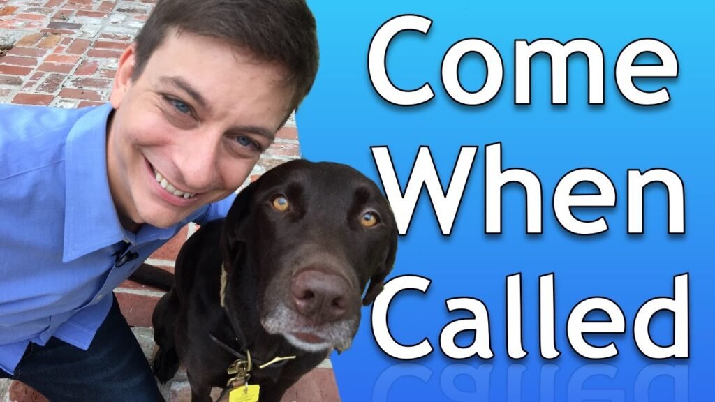 How to Teach Your Dog to Come When Called