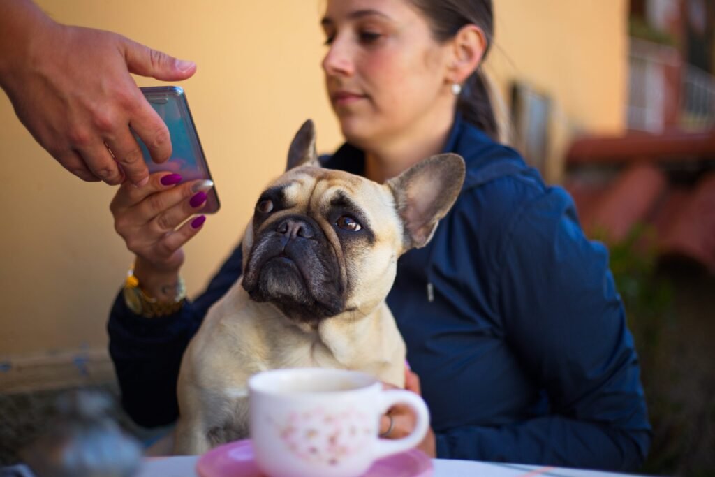 The Best Dog-Friendly Restaurants in Your City