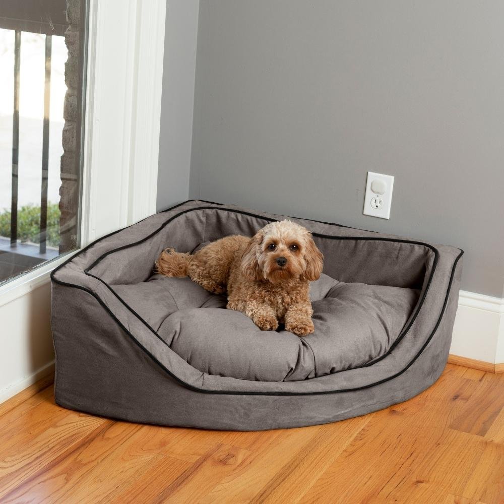 10 Unique Dog Beds for Your Pup's Comfort